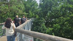 D&CO Team auf dem Baumwipfelpfad Beelitz4